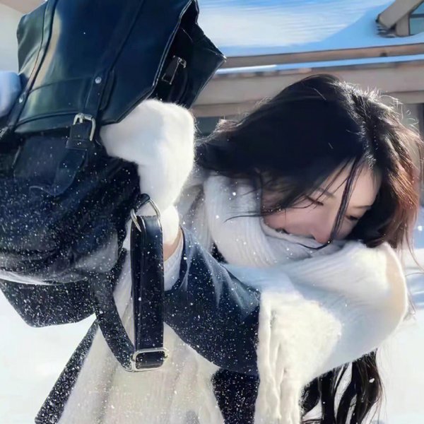 戆子记